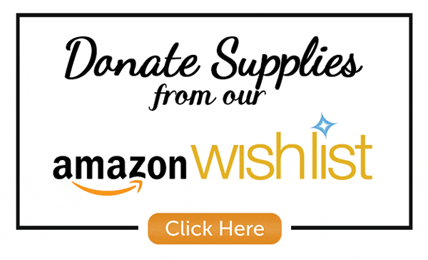 amazon-wishlist-donation