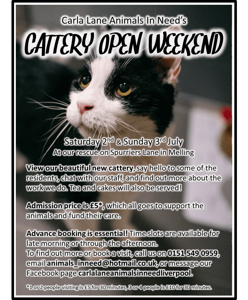 Cattery Open Weekend Poster