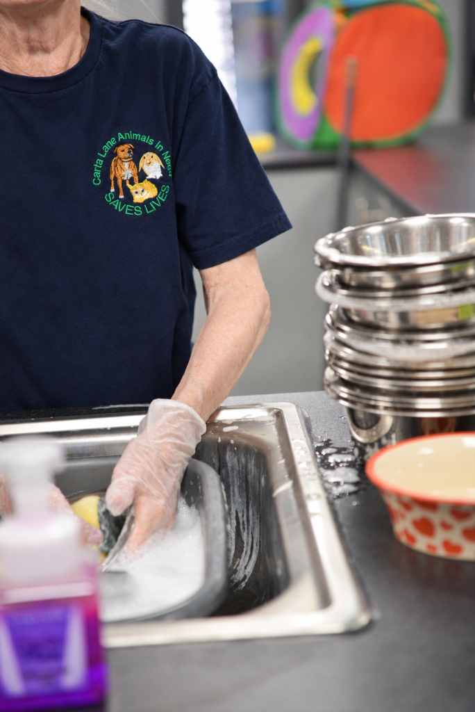 Volunteer washing bowls for the rescue animals