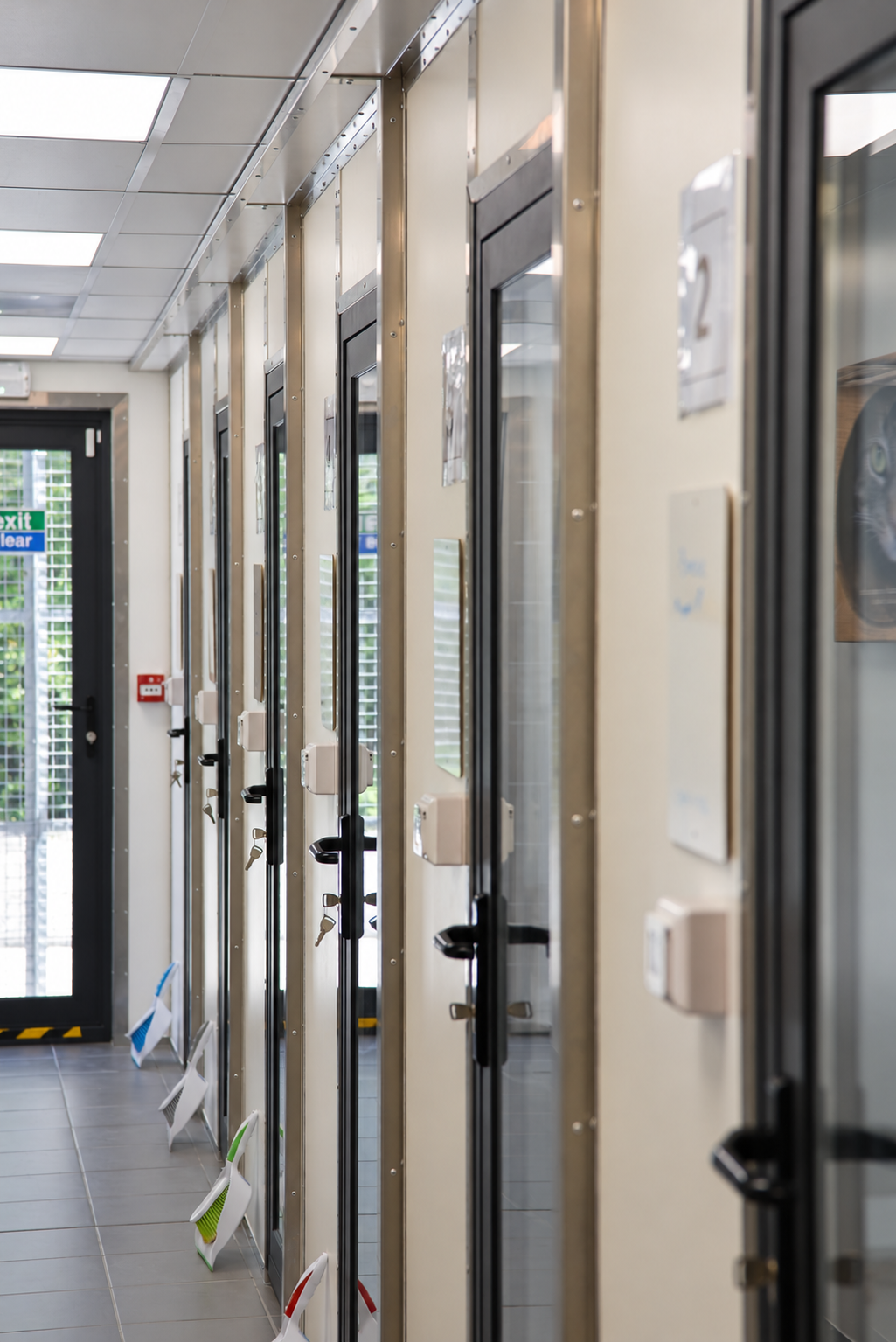 A shelter corridor with individual glazed doors
